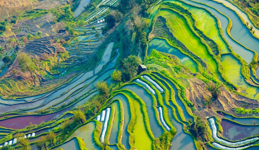 宝妈必备神器：红安县产品视频拍摄轻松育儿好帮手