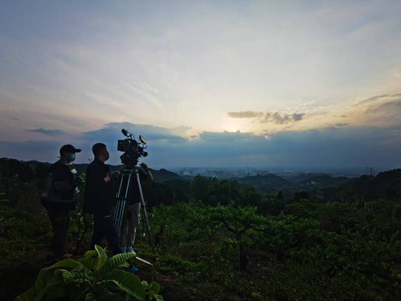 聚焦红安县产品宣传视频拍摄公司，用专业实力铸就品牌传播传奇