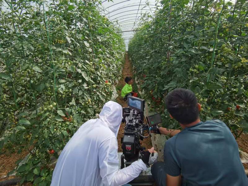 红安县产品宣传视频拍摄公司进阶指南，助力品牌抢占传播高地